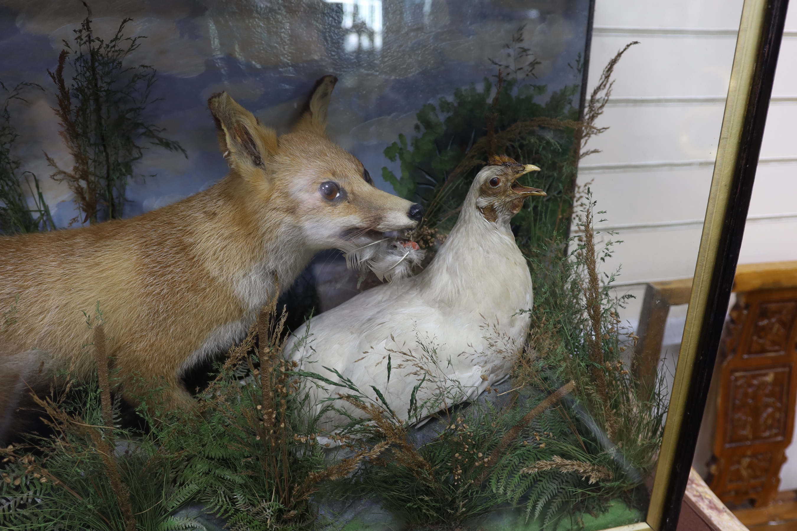 A cased taxidermy fox and chicken, overall 63 x 91 x 32cm